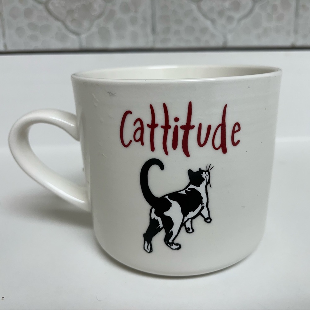 New Cattitude Mug